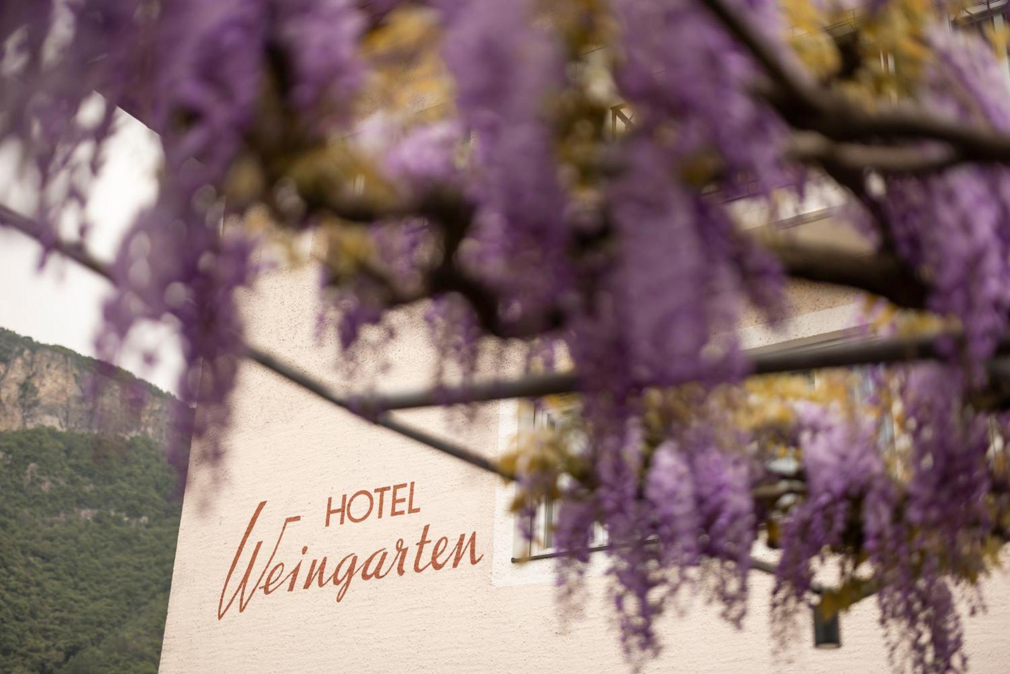 Weingarten Terlan - Rooms & Breakfast Extérieur photo